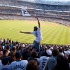 Yankees Stadium, NY - Parisa Khobdeh